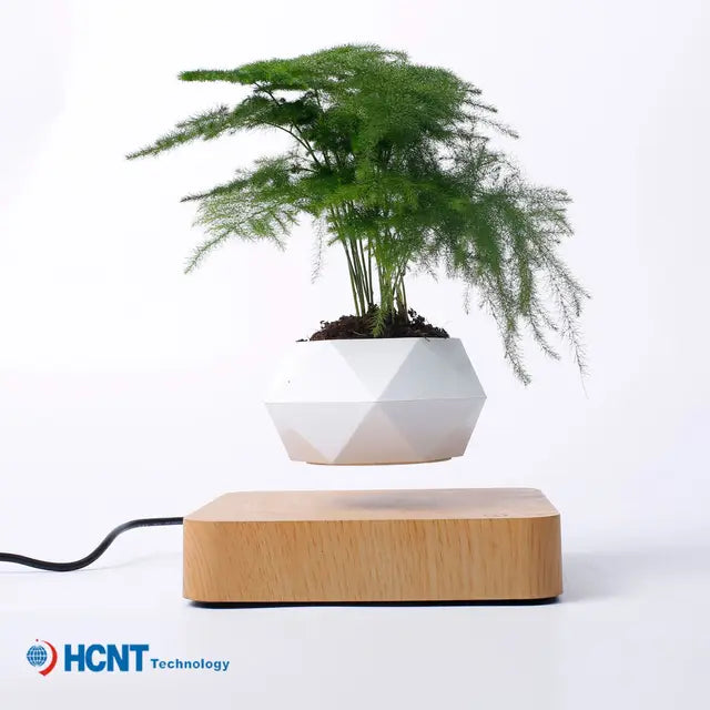 Levitating Plant Pot para Suculentas, Plantas de Bonsai Flutuantes, Plantador Flutuante para Casa, Decoração de escritório